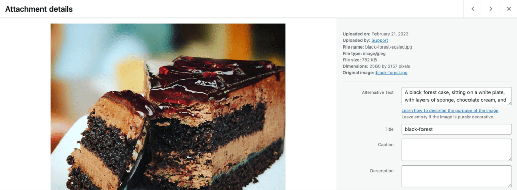 Screenshot of the details fields available in a picture
