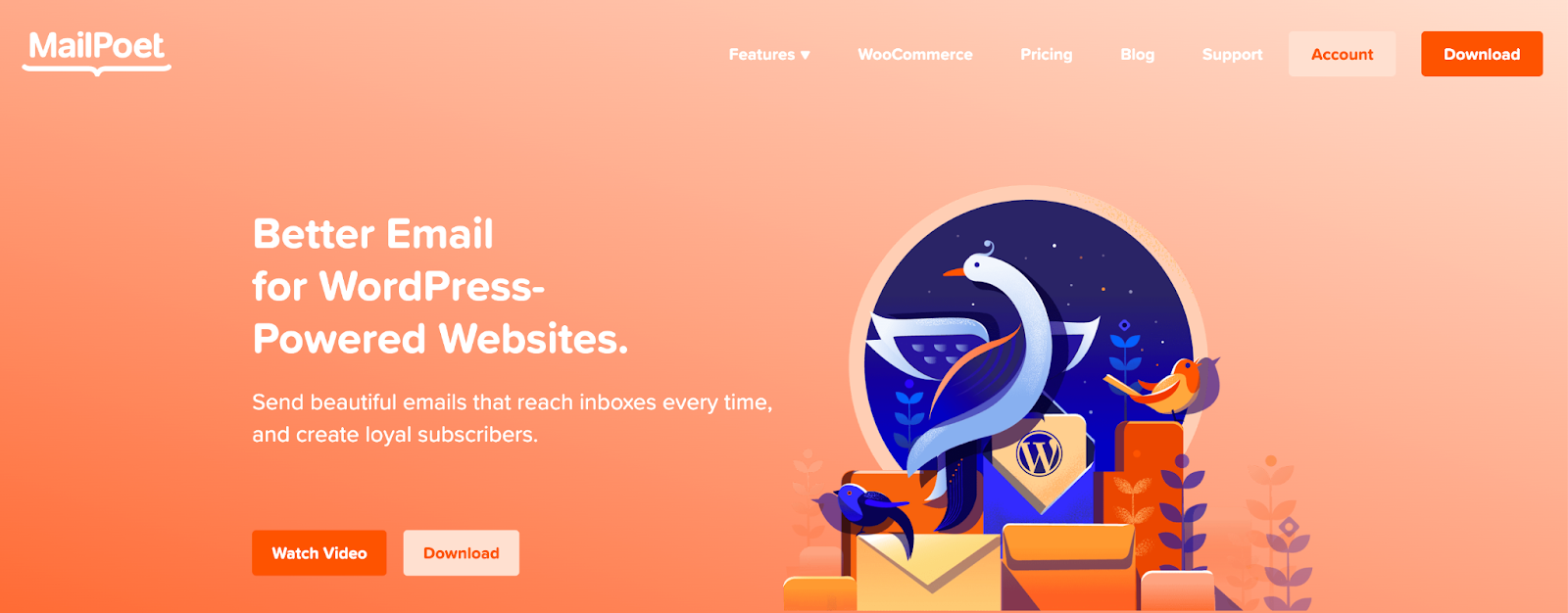 MailPoet homepage with the text "better email for WordPress-powered websites"