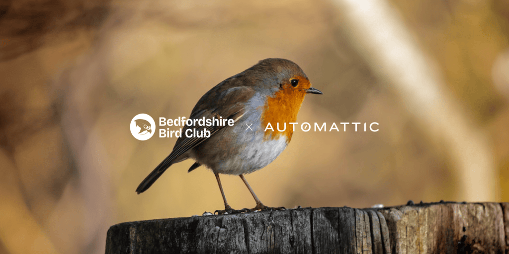 How Bedfordshire Bird Club Flies&nbsp;High