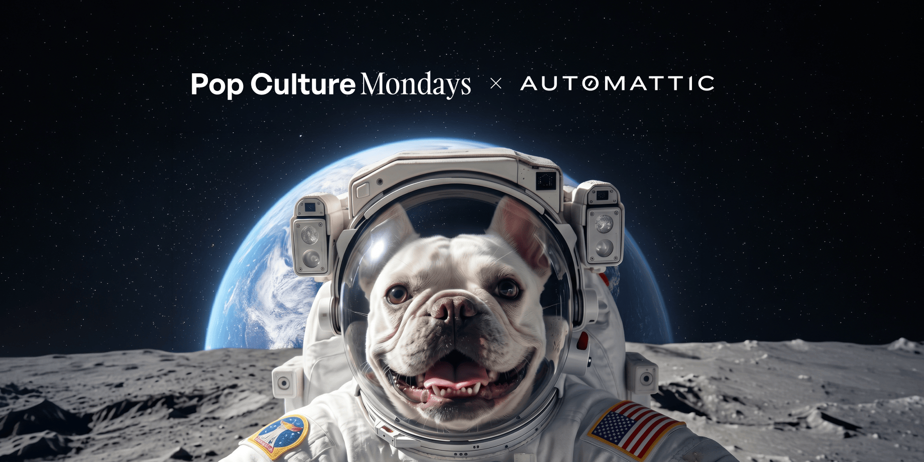 How WordPress Sent a Dog (and a Pop Culture Brand) to the&nbsp;Moon